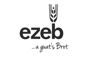 ezeb Logo