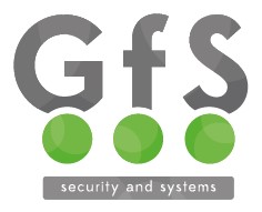 Logo klein Security